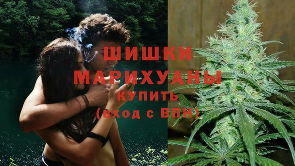 гидропоника Богданович