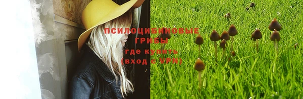 гидропоника Богданович