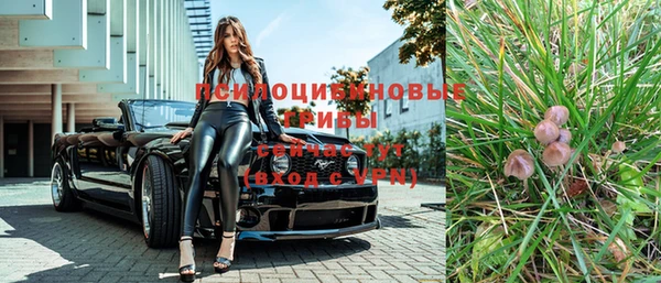 гидропоника Богданович
